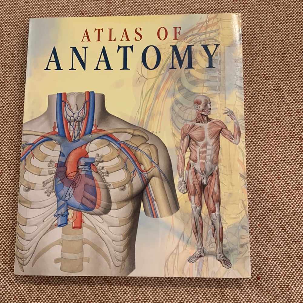 Anatomy Book
